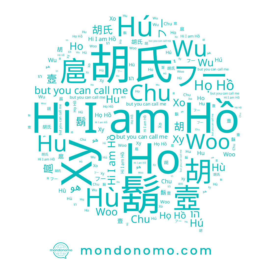 name 胡氏, name Chu, name Wu, name 扈, name هو, name Hú, name 壼, name Woo, name Hồ, name フー, name Hù, name Ху, name 호, name 胡, name Ho, name Hu, name 鬍, name Хо, name הו