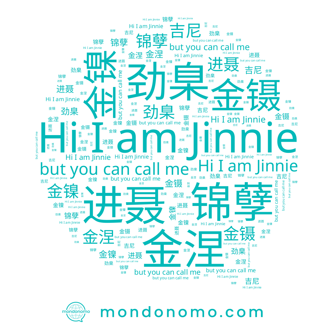 name 锦孽, name Jinnie, name 吉尼, name 进聂, name 金涅, name 金镍, name 金镊, name 劲臬