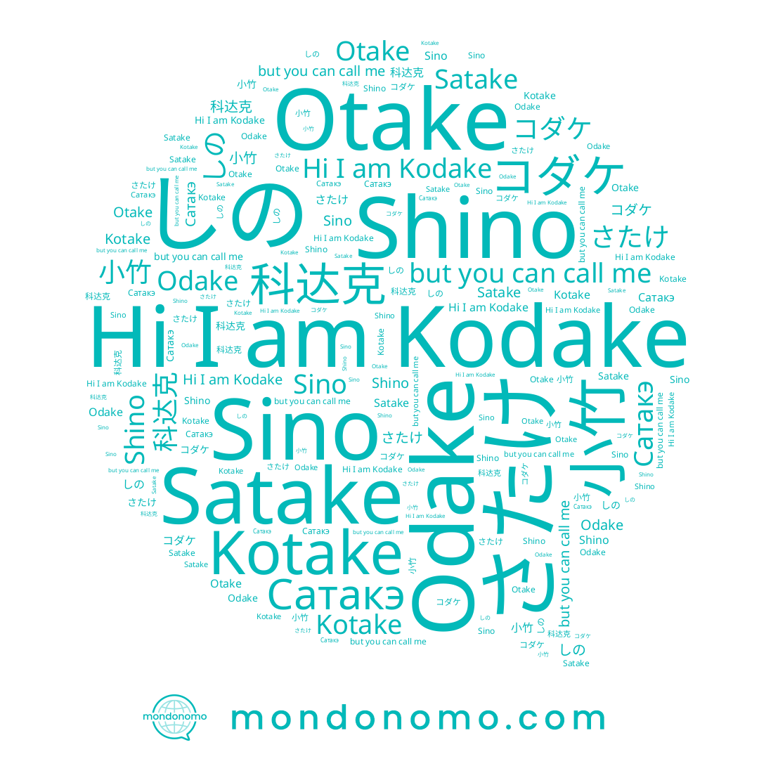name 小竹, name Kodake, name コダケ, name Sino, name しの, name Odake, name Shino, name Satake, name 科达克, name Kotake, name Сатакэ, name Otake, name さたけ