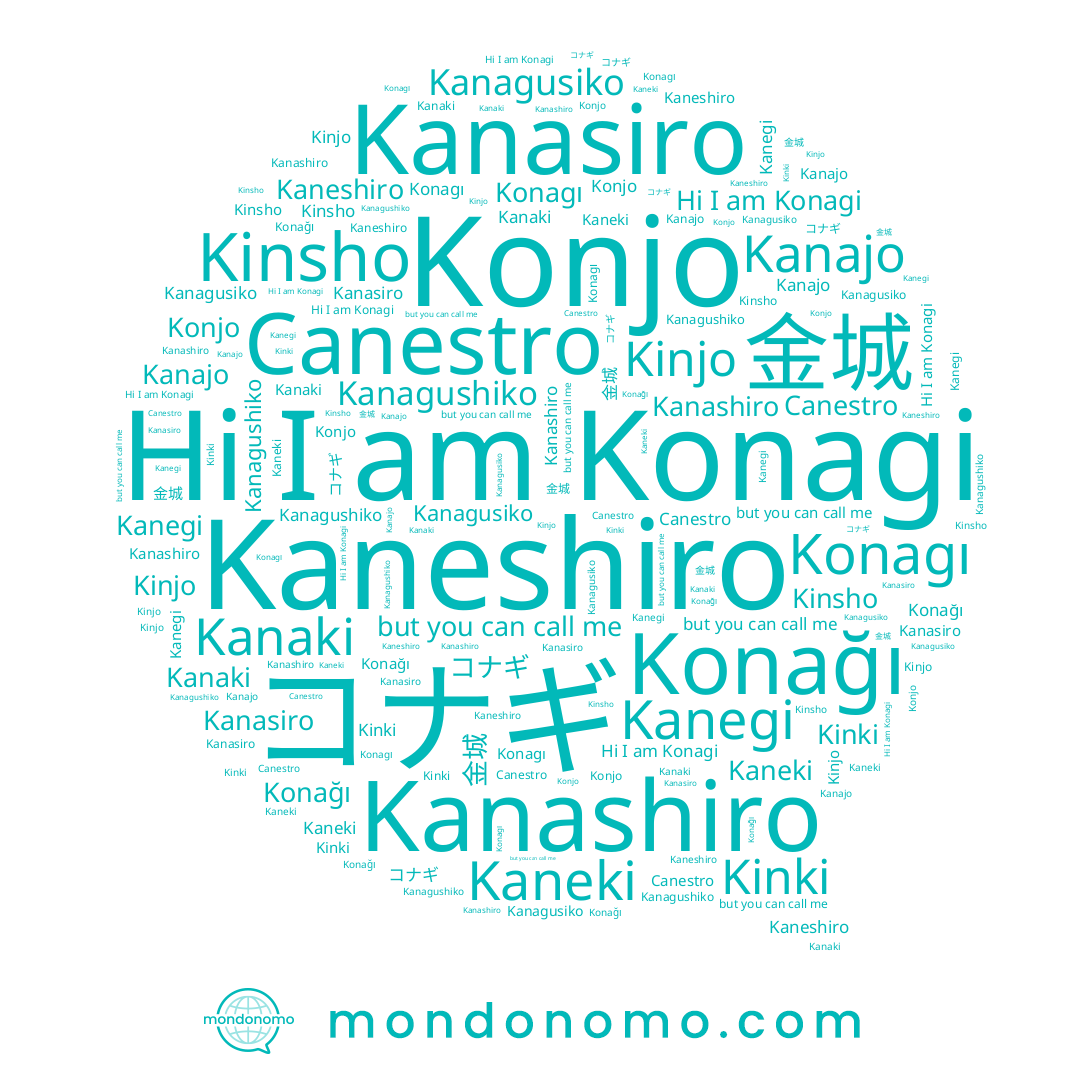 name Kanasiro, name Kaneshiro, name Kinjo, name Kanagusiko, name Konjo, name Kinsho, name Kanajo, name Kanaki, name Kanegi, name 金城, name Kanashiro, name Kanagushiko, name コナギ, name Konağı, name Konagi, name Canestro, name Konagı, name Kaneki, name Kinki
