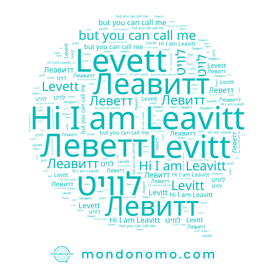 name Levett, name Леветт, name לוויט, name Leavitt, name Левитт, name Levitt, name לויט, name Леавитт