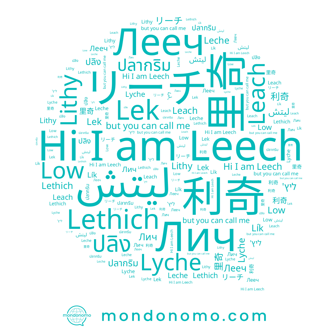 name Lethich, name ליץ', name Лич, name Leach, name ليتش, name 里奇, name Leche, name Lithy, name ปลากริม, name 利奇, name Low, name Lík, name Лееч, name ปลิง, name Lek, name リーチ, name Lyche, name Leech