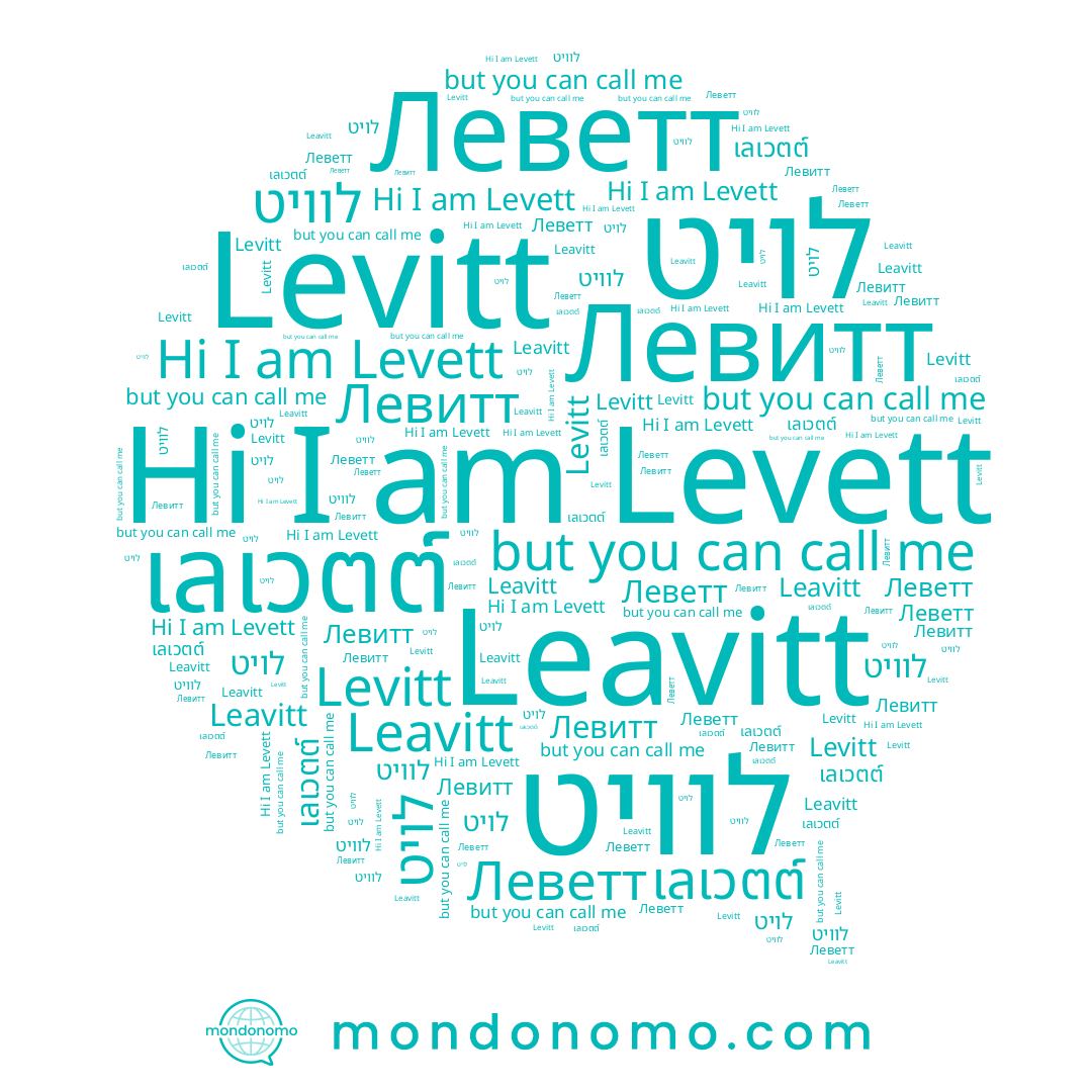 name Levett, name Леветт, name לוויט, name Leavitt, name Левитт, name Levitt, name เลเวตต์, name לויט
