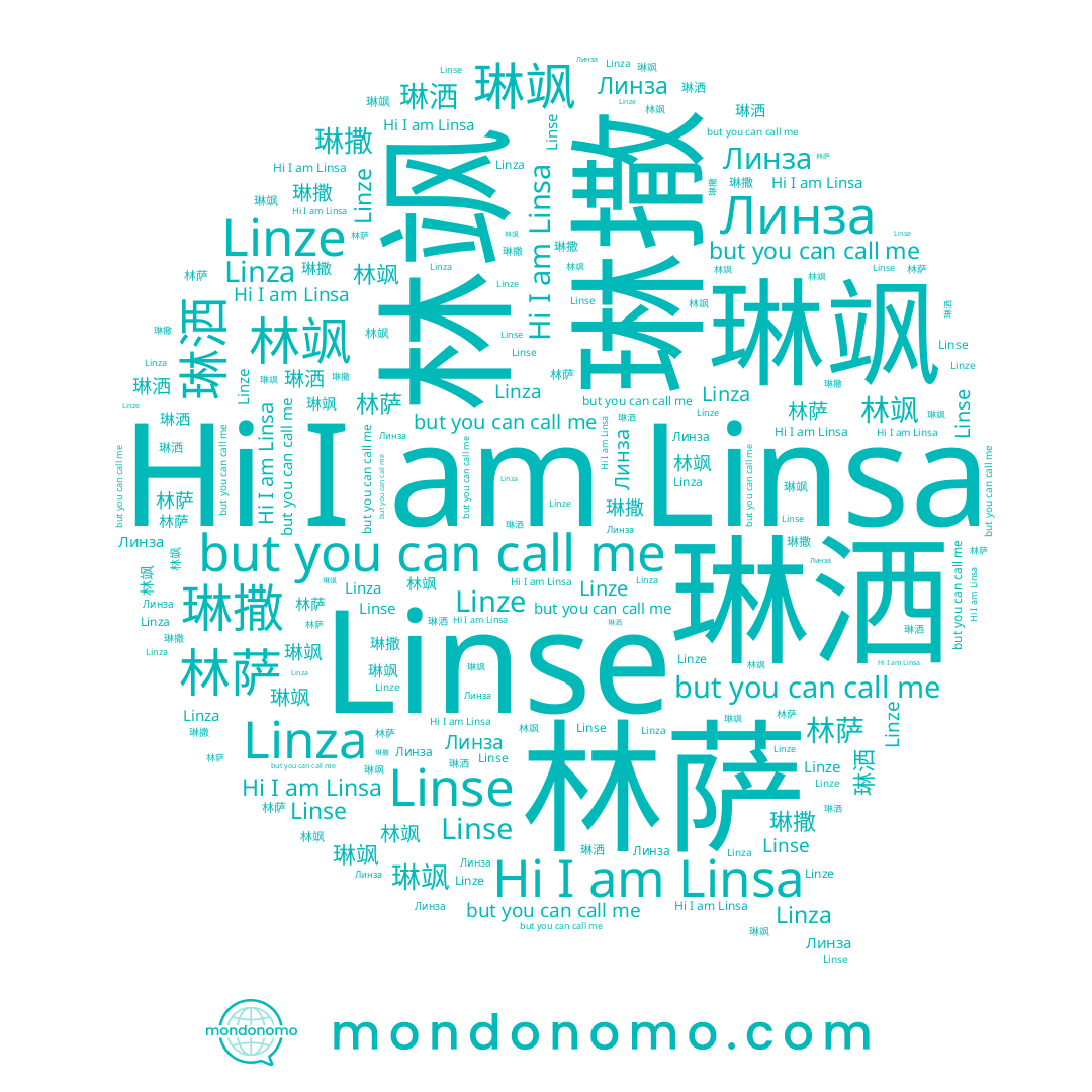 name 林飒, name Linse, name 琳撒, name Линза, name 林萨, name 琳飒, name Linsa, name Linza, name 琳洒