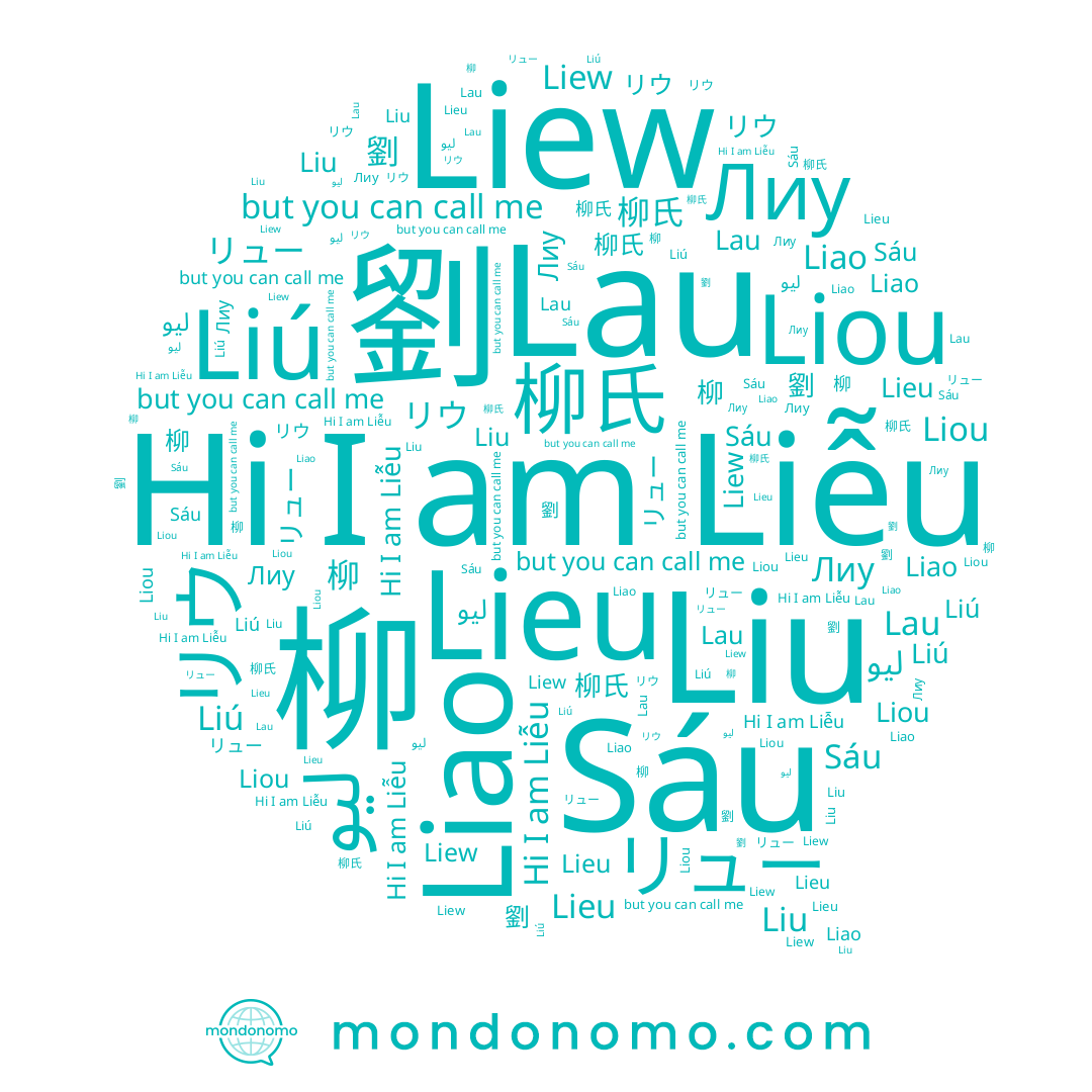 name Liou, name ليو, name Lau, name Liew, name Liú, name Sáu, name 劉, name 柳氏, name Liu, name リュー, name Liễu, name Лиу, name Liao, name リウ, name 柳, name Lieu