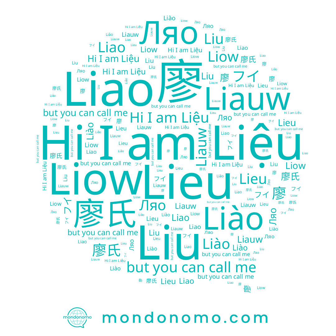 name Ляо, name Liow, name Liauw, name Liu, name Liệu, name 廖氏, name フイ, name Liao, name Lieu, name 廖, name Liào