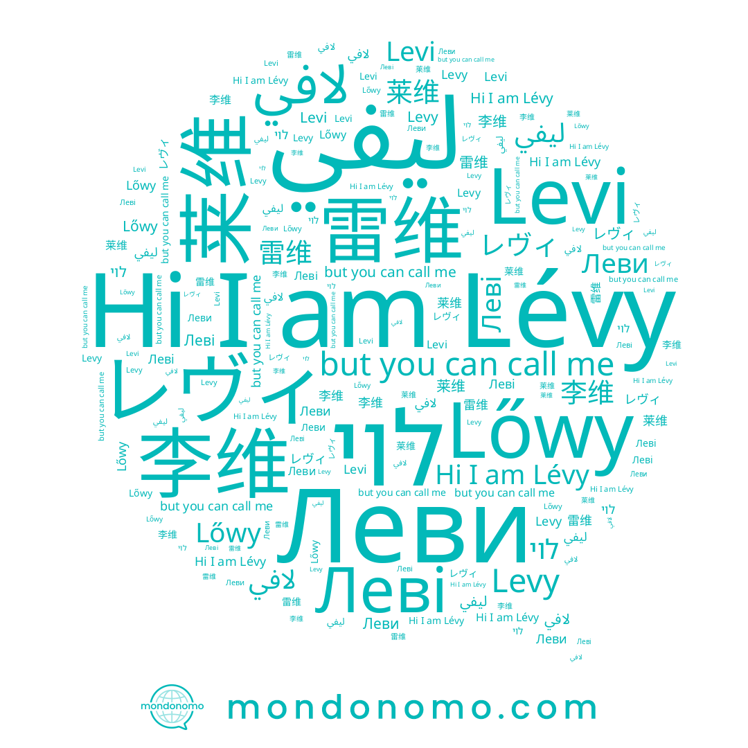 name Леві, name 李维, name Леви, name Lévy, name 雷维, name לוי, name Levi, name لافي, name ليفي, name レヴィ, name 莱维, name Levy, name Lőwy