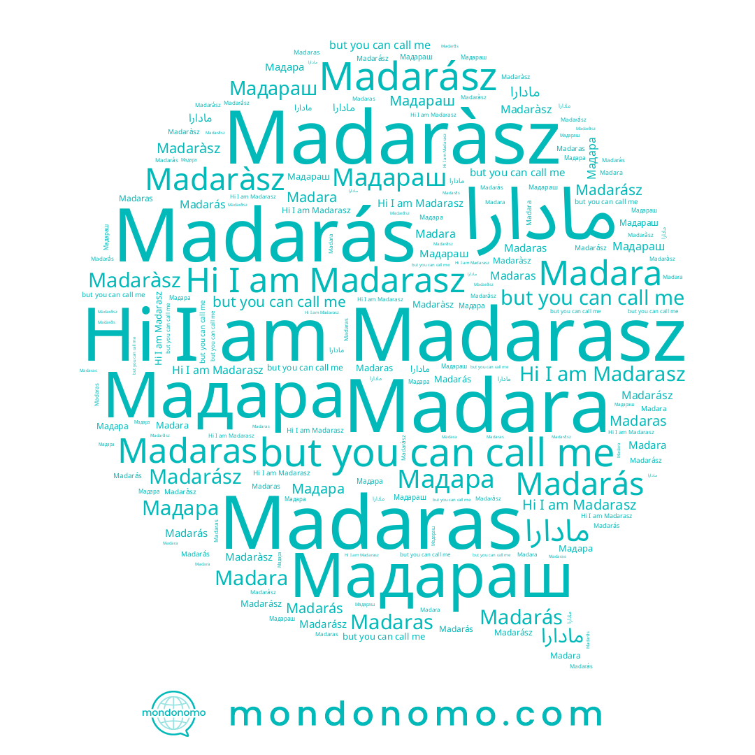 name Madarás, name Мадараш, name مادارا, name Madaras, name Madarász, name Madarasz, name Madara, name Madaràsz