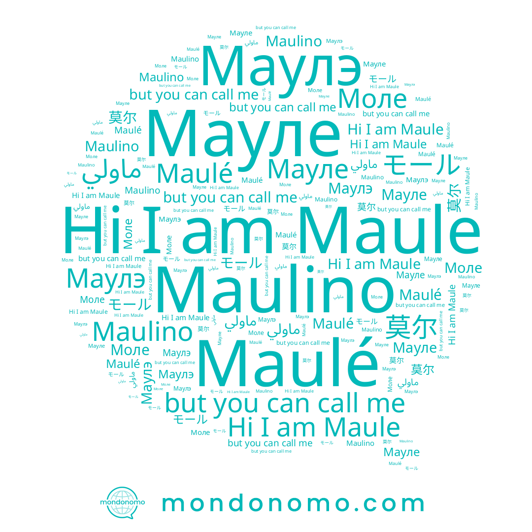 name Maulino, name Маулэ, name Maule, name モール, name ماولي, name 莫尔, name Maulé, name Мауле