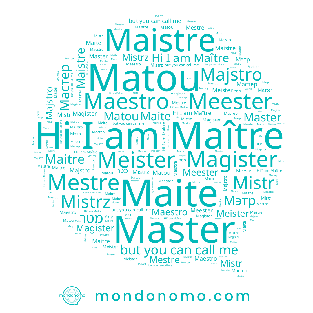 name Maitre, name Meester, name Magister, name Master, name Mestre, name Meister, name Mistrz, name Maître, name מטר, name Maite, name Mistr, name Maestro, name Maistre