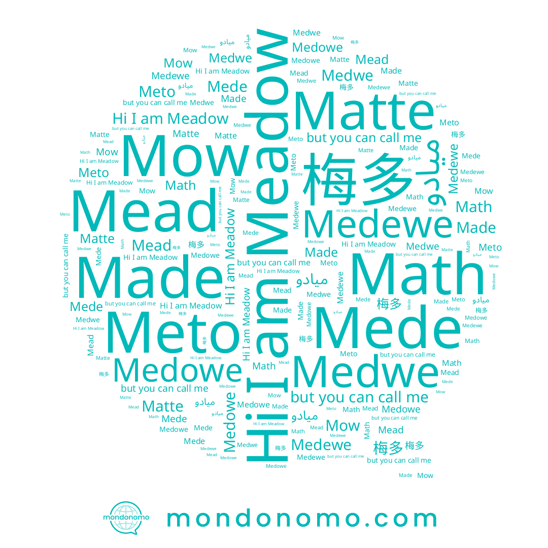 name Mede, name Mow, name Made, name Meadow, name Meto, name Mead, name Medowe, name Math, name 梅多, name Medewe, name Matte
