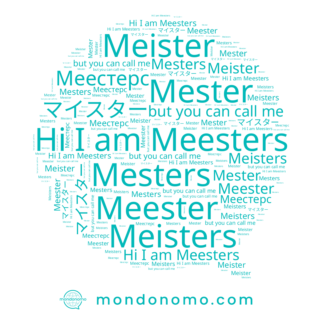 name Meester, name Meesters, name マイスター, name Mesters, name Meister, name Meisters, name Mester, name Меестерс