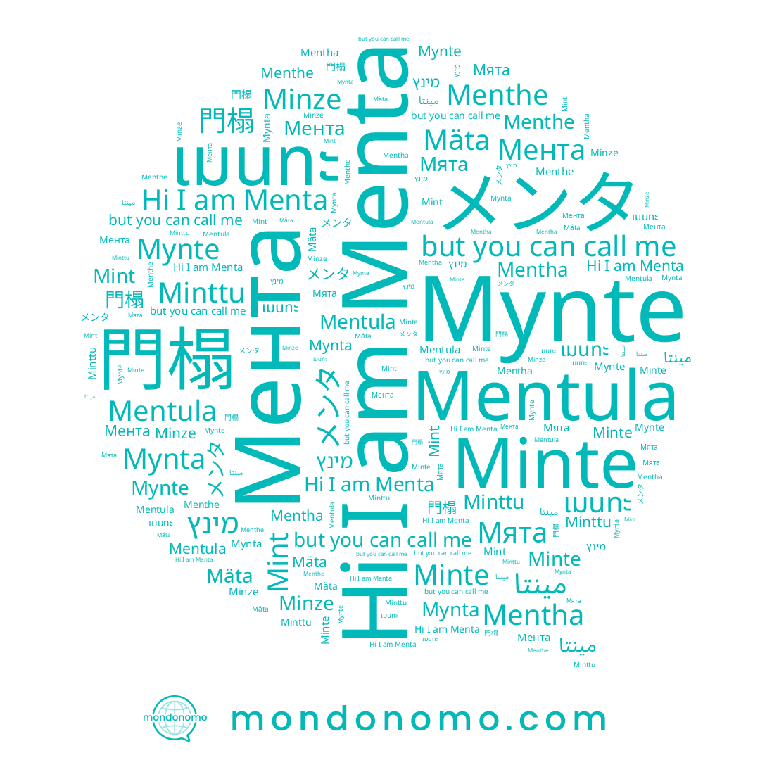 name Minze, name Mentula, name Menthe, name Minttu, name Mentha, name メンタ, name Мята, name 門榻, name Mynta, name Мента, name Minte, name مينتا, name เมนทะ, name מינץ, name Menta
