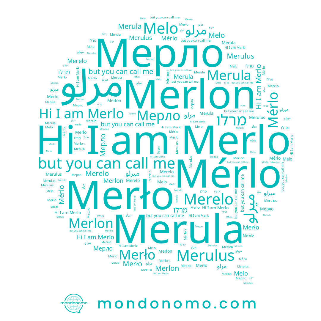 name Melo, name Merlo, name Мерло, name Merelo, name ميرلو, name Merlon, name Mérlo, name Merło, name Merula, name מרלו, name Merulus