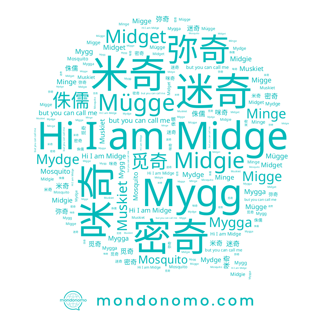 name 侏儒, name 미지, name Muskiet, name Migge, name Midgie, name Minge, name Mügge, name Midget, name 密奇, name Midge, name Mygga, name Mygg, name 迷奇, name 弥奇, name 觅奇, name 咪奇, name 米奇, name Mydge, name Mosquito