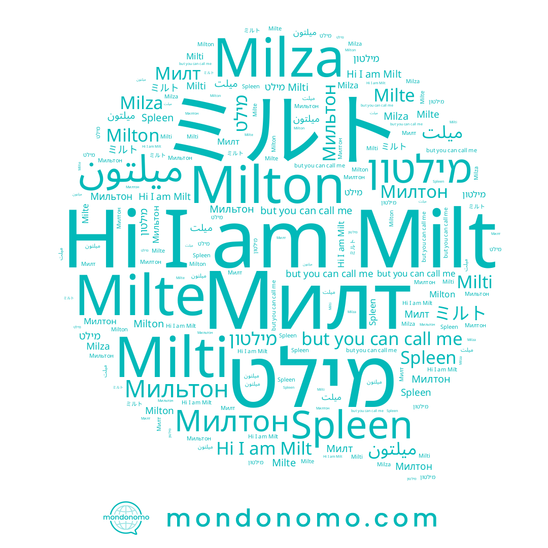 name Milza, name Мильтон, name Milte, name Spleen, name מילט, name Милтон, name Milti, name מילטון, name Milton, name Milt, name ميلتون, name ميلت