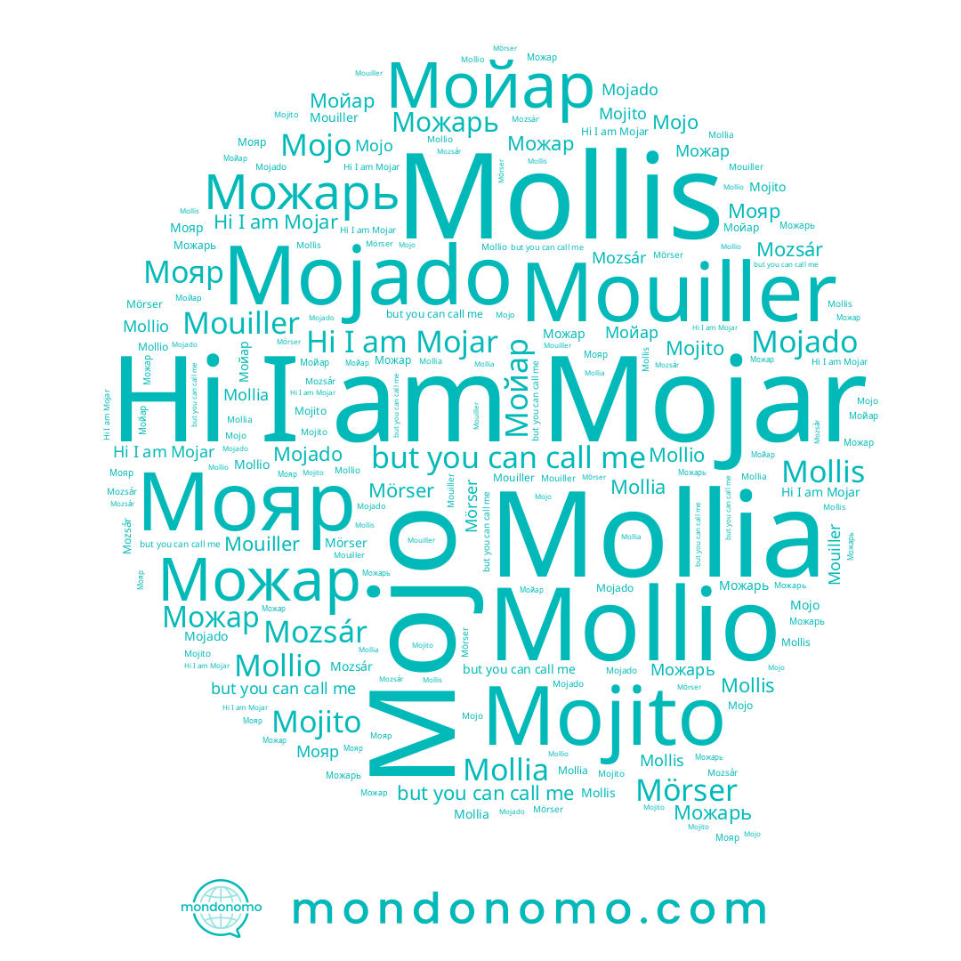 name Mouiller, name Mojado, name Mollio, name Mozsár, name Мояр, name Можарь, name Мойар, name Mojar, name Можар, name Mollia, name Mörser, name Mollis