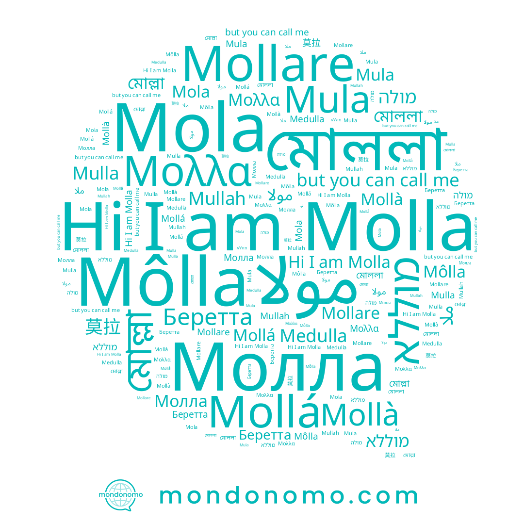 name Medulla, name מוללא, name مولا, name מולה, name Mula, name Беретта, name ملا, name Mollá, name 몰라, name Mollare, name Mollà, name Mullah, name মোল্লা, name মোললা, name Môlla, name Mola, name Молла, name Molla, name 莫拉, name Mulla