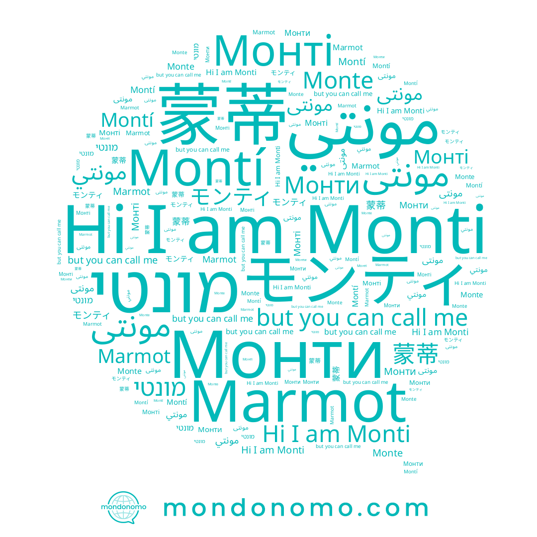 name 蒙蒂, name Монті, name مونتی, name Monti, name Monte, name Монти, name Montí, name מונטי, name مونتي, name Marmot, name مونتى