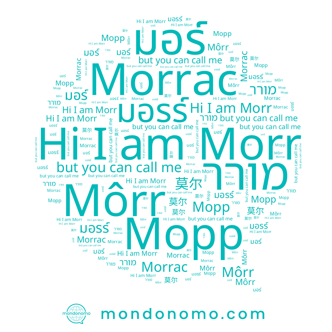 name มอรร์, name Môrr, name Morrac, name מורר, name Morr, name 莫尔, name Морр