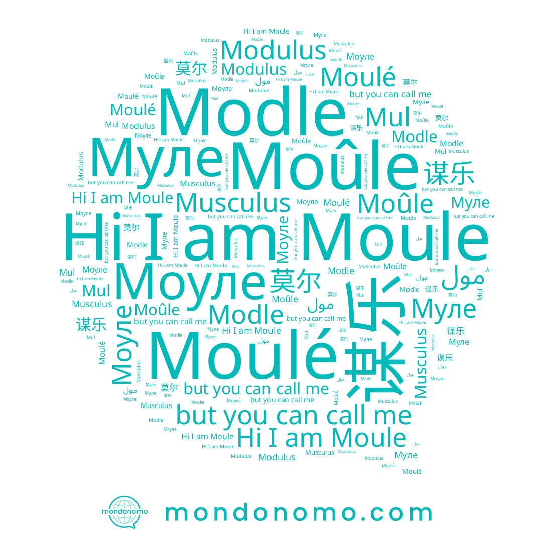 name Moûle, name Modle, name مول, name Moule, name Mul, name Moulé, name Муле, name 莫尔, name Моуле, name Musculus, name 谋乐