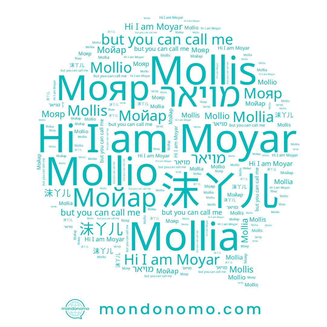 name Mollio, name Moyar, name Мояр, name Мойар, name מויאר, name 沫丫儿, name Mollia, name Mollis