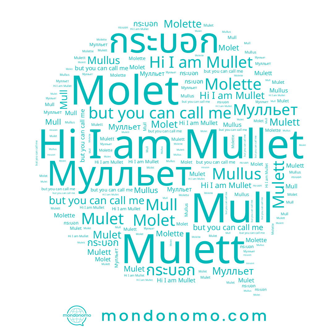 name Mulet, name Мулльет, name Mulett, name Mullus, name Molet, name Molette, name Mullet, name Mull, name กระบอก