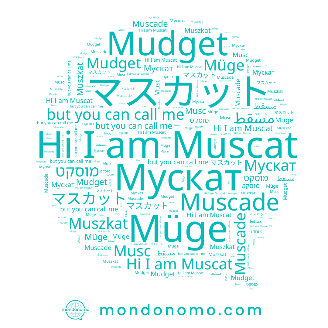name マスカット, name Muscat, name Mudget, name Мускат, name Musc, name מוסקט, name Müge, name Muszkat