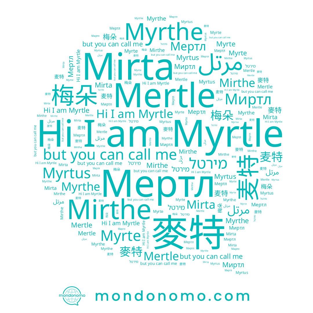 name Myrte, name מירטל, name Mertle, name 麥特, name Mirta, name 梅朵, name 麦特, name Myrthe, name Myrtle, name Mirthe