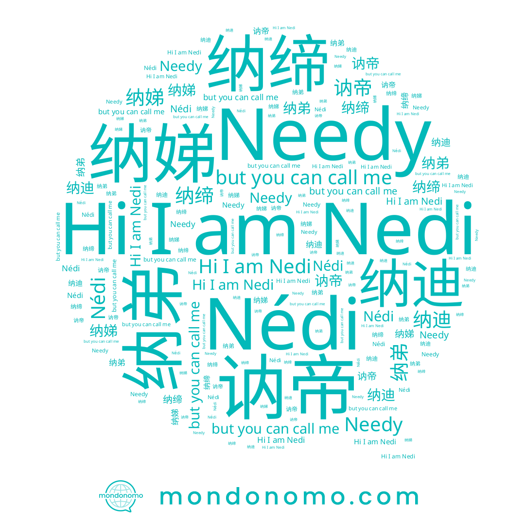 name 讷帝, name Nedi, name Needy, name Nédi, name 纳迪, name 纳娣, name 纳缔, name 纳弟
