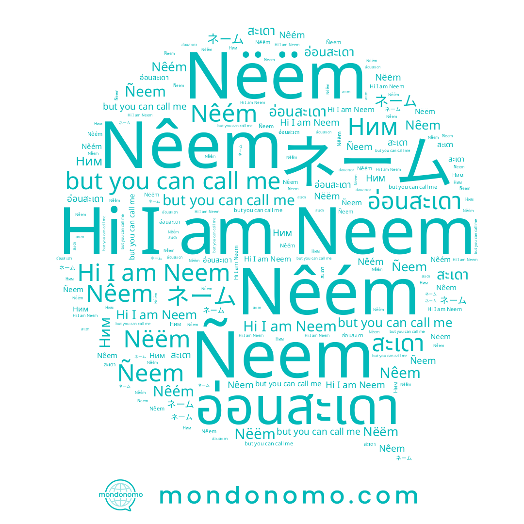 name Nêem, name Ñeem, name อ่อนสะเดา, name Ним, name สะเดา, name Nêém, name ネーム, name Neem, name Nëëm