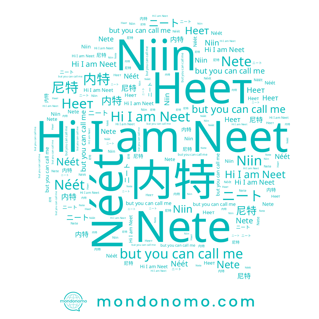 name Neet, name ニート, name Nete, name Niin, name Неет, name Néét, name 尼特, name 内特