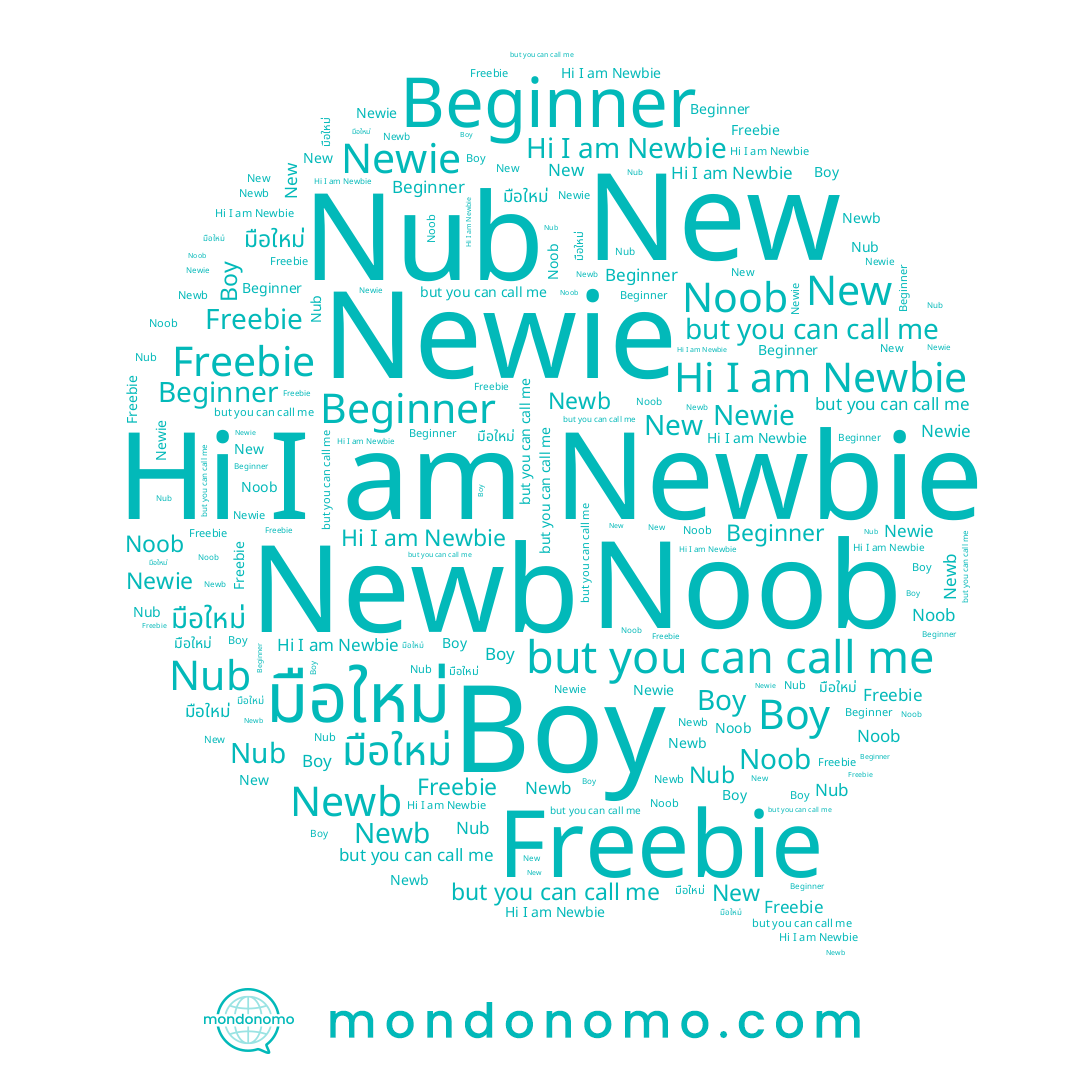 name Noob, name Boy, name Newie, name มือใหม่, name Nub, name Freebie, name New, name Newbie