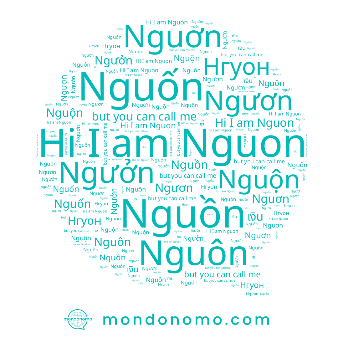 name เงิน, name Nguôn, name Nguộn, name Nguon, name Ngưởn, name Нгуон, name Ngươn, name Nguơn, name Nguốn