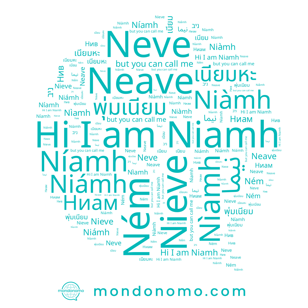 name Niamh, name Nieve, name เนียมหะ, name Nìamh, name Niàmh, name พุ่มเนียม, name Niámh, name Neve, name ניב, name Ném, name Neave, name نيما, name เนียม, name Níamh
