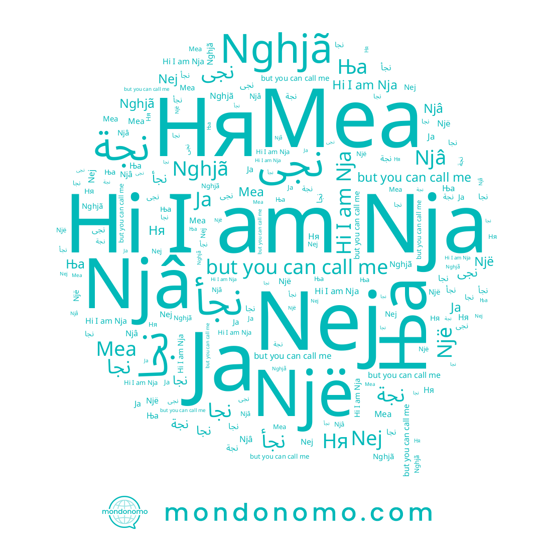 name نجة, name Nghjã, name Mea, name نجى, name ﻧﺠﺎ, name نجأ, name Njâ, name Nja, name نجا, name Ja, name Ња, name Nej, name Ня
