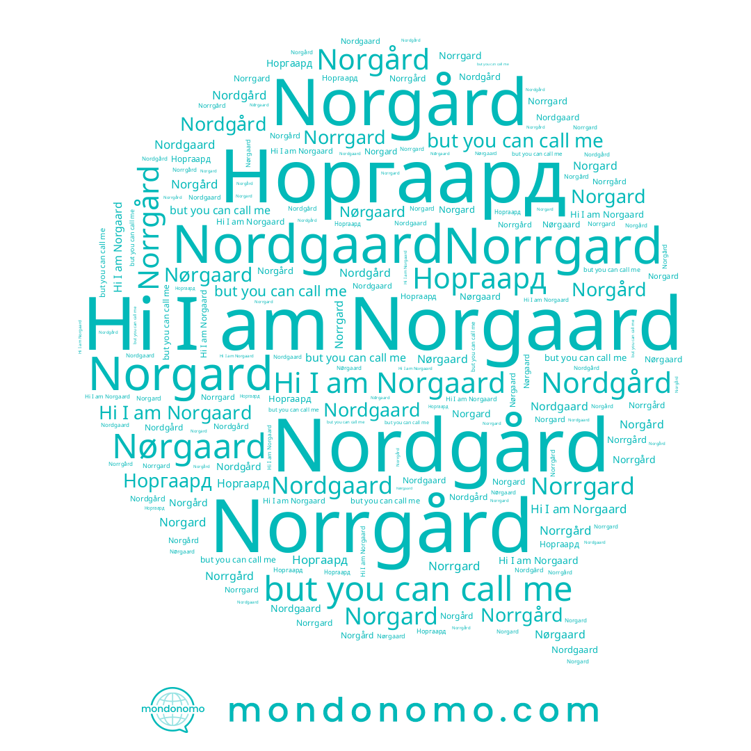 name Nordgaard, name Norrgard, name Nordgård, name Norrgård, name Norgaard, name Nørgaard, name Norgård, name Norgard