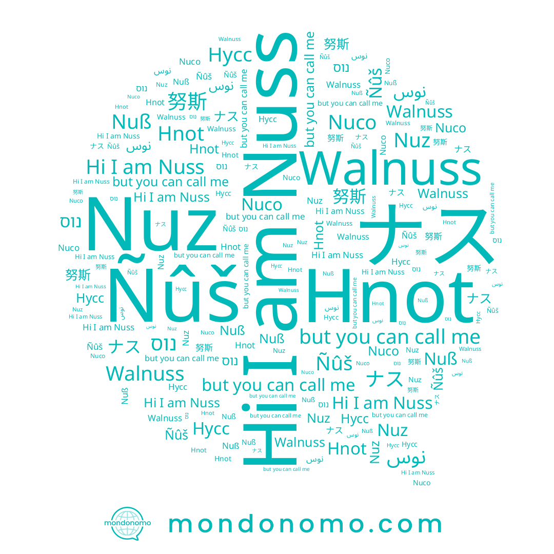 name Nuz, name Ñûš, name Hnot, name נוס, name 努斯, name ナス, name نوس, name Nuss, name Nuß, name Нусс