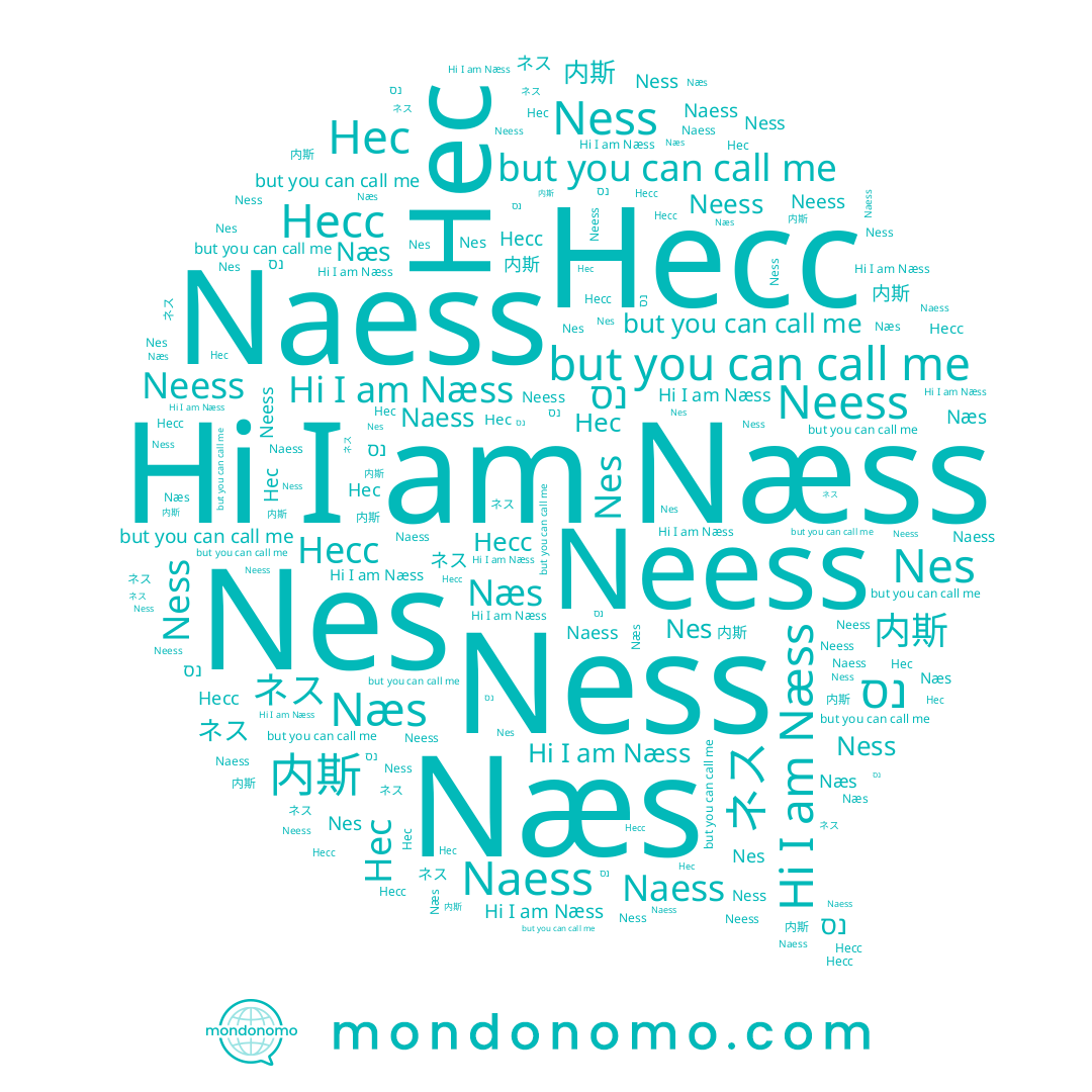 name Naess, name Ness, name Næss, name Neess, name ネス, name Несс, name נס, name Nes, name Næs