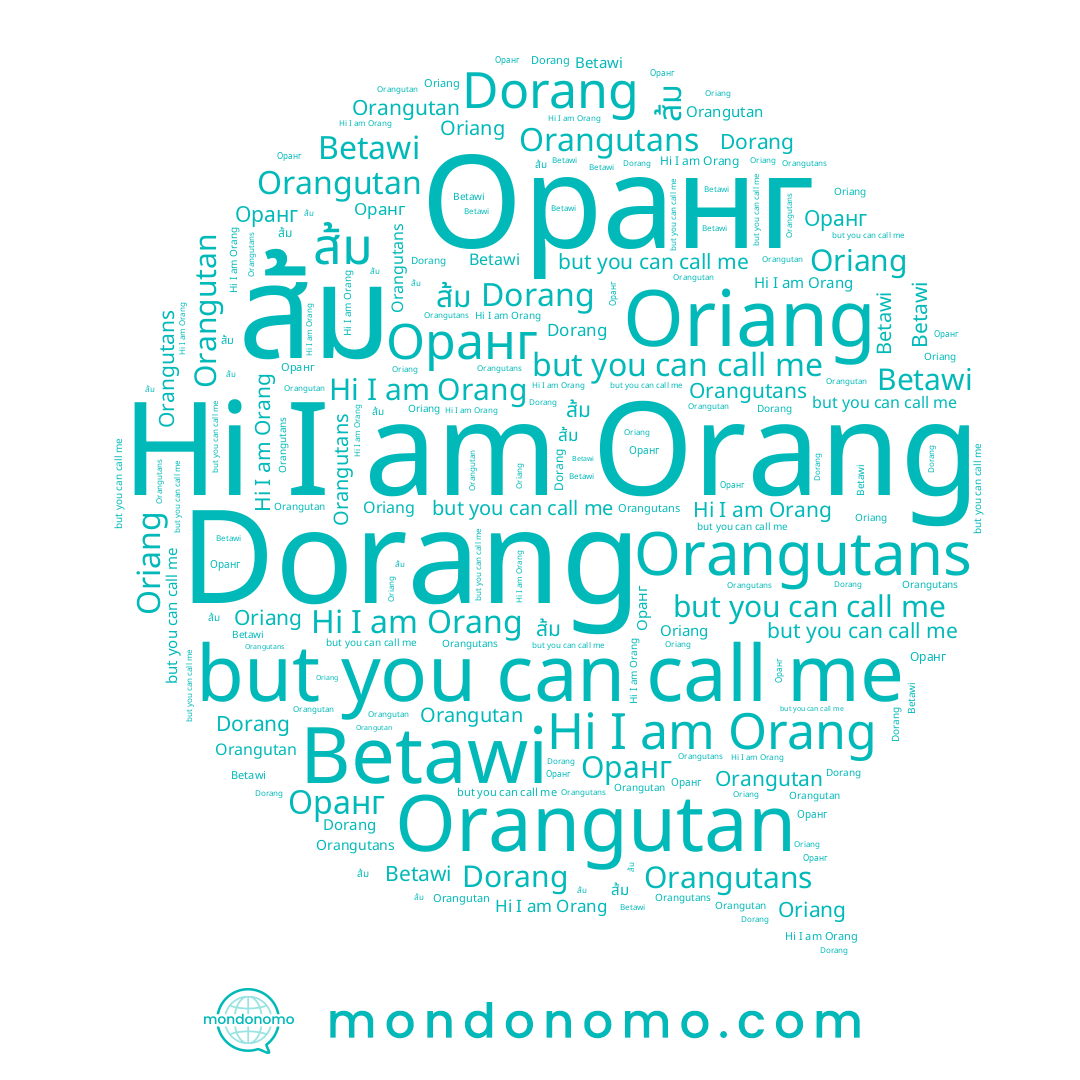 name 오랑, name Betawi, name Dorang, name Orang, name ส้ม, name Oriang