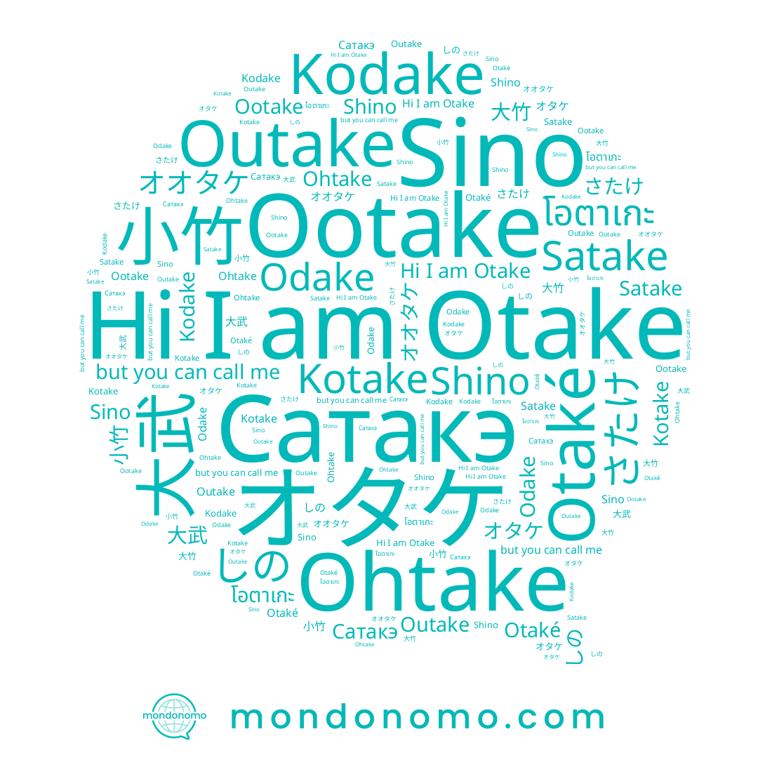 name 小竹, name Sino, name Odake, name オオタケ, name Otaké, name Ootake, name Ohtake, name Shino, name Kotake, name Сатакэ, name 大竹, name Kodake, name 大武, name オタケ, name しの, name Outake, name Satake, name Otake, name さたけ