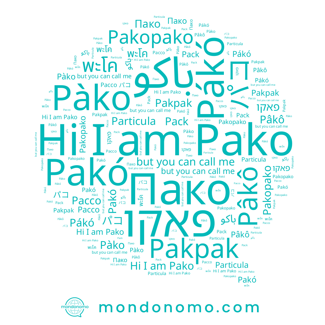 name Pákó, name Pâkô, name พะโค, name Pakpak, name Pack, name Pàko, name פאקו, name باكو, name Pakopako, name Pakó, name Pacco, name Pako, name Пако, name パコ
