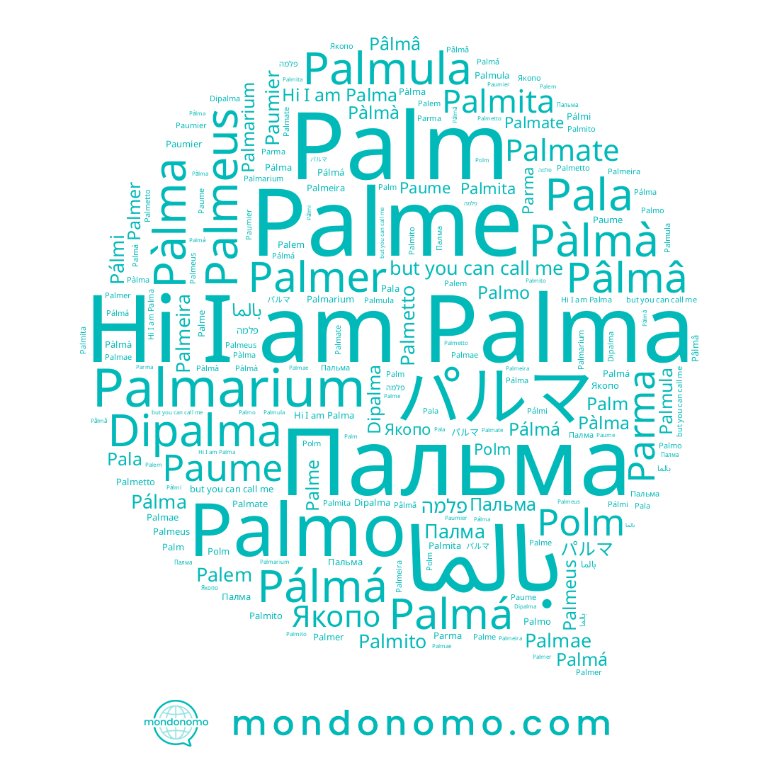 name Palem, name Palmula, name Palmito, name Pàlmà, name Palmeira, name Palm, name Pâlmâ, name Palmita, name Palma, name Palme, name Paume, name Pálmi, name Pálma, name Paumier, name Parma, name Pala, name Palmeus, name Polm, name Palmer, name Palmá, name Dipalma, name パルマ, name פלמה, name Pàlma, name Palmo, name Pálmá, name Palmate, name Пальма