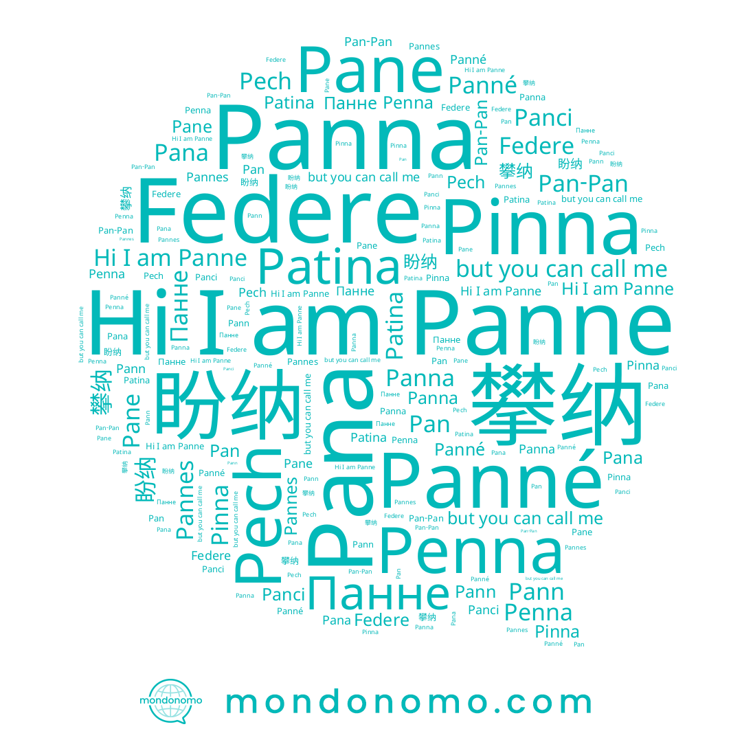 name Pan, name Pech, name Панне, name Pan-Pan, name Pane, name Panné, name Patina, name Pinna, name Pann, name Pana, name Panne, name Penna, name Federe, name Pannes, name 攀纳, name Panna, name 盼纳, name Panci