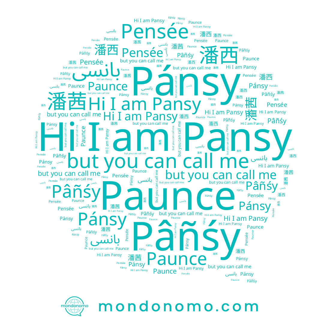 name Pâñśy, name Pensée, name 潘西, name Paunce, name Pansy, name Pánsy, name بانسى