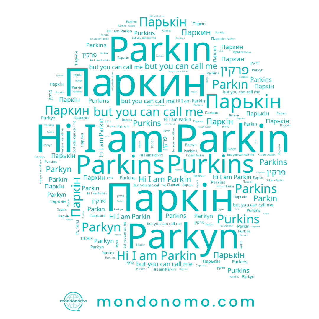 name Parkın, name Parkins, name Паркін, name פרקין, name Parkyn, name Purkins, name Парькін, name Parkin, name Паркин