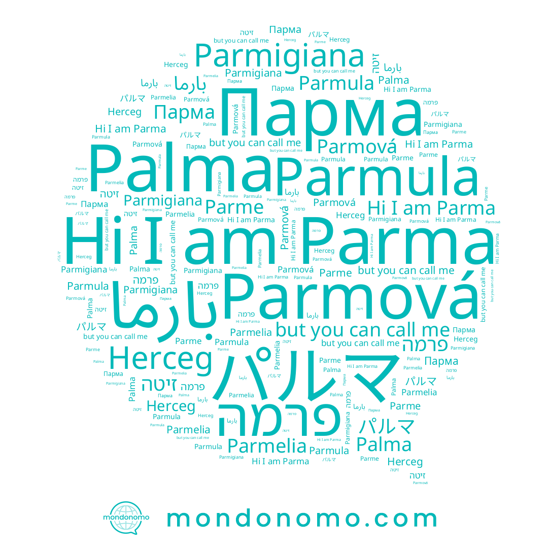 name Palma, name פרמה, name Parmová, name Parmula, name Parmelia, name Парма, name Herceg, name זיטה, name Parme, name パルマ, name Parma