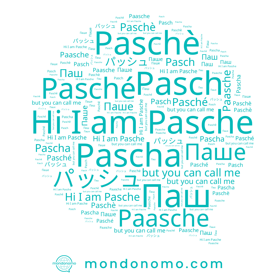 name Paasche, name Паш, name Paschè, name Pascha, name Pasche, name Pasché, name パッシュ, name Pasch