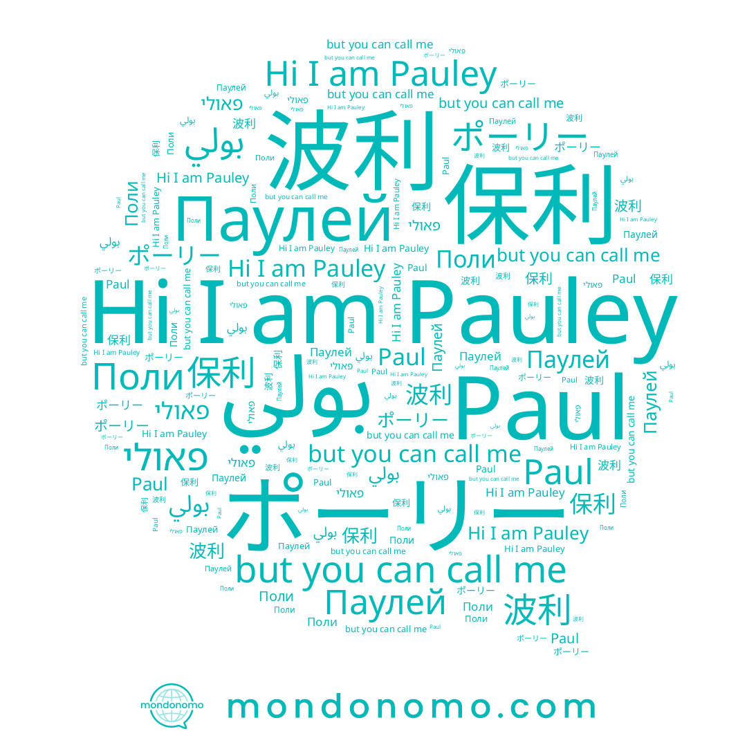 name بولي, name Паулей, name Поли, name 保利, name 波利, name Paul, name פאולי, name Pauley
