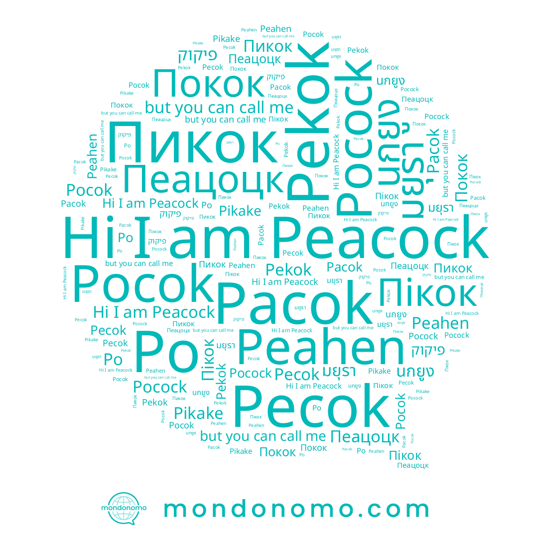 name นกยูง, name פיקוק, name Pocock, name Pekok, name มยุรา, name Пеацоцк, name Peacock, name Pecok, name Pikake, name Пикок, name Po, name Покок, name Пікок, name Pacok, name Pocok, name Peahen